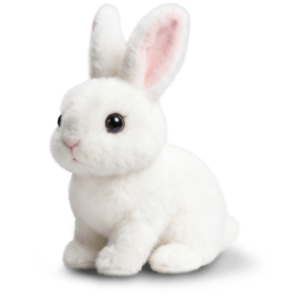 Hoppsy